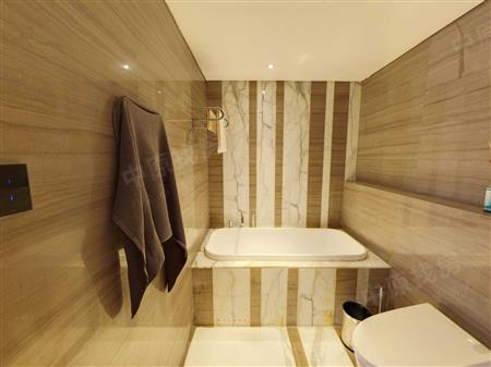 中信红树湾花城北区-卫生间