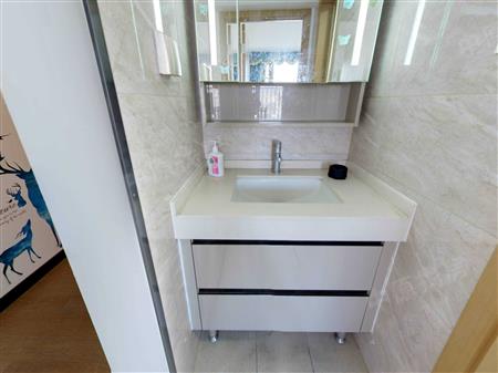 金地龙城中央·自在寓-其他