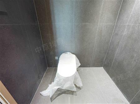 中心天元-卫生间