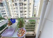 桃源居世外桃源-阳台