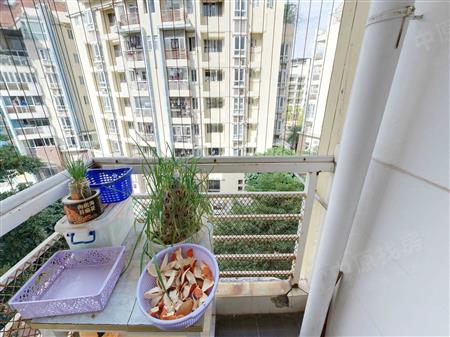 桃源居世外桃源-阳台