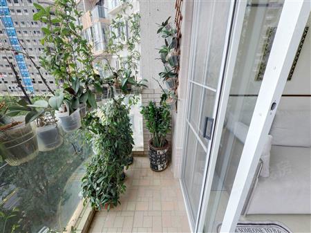 黄埔雅苑（一期翠悠园）-阳台