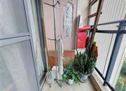 佳兆业新都汇家园（龙岗大道1号）-阳台