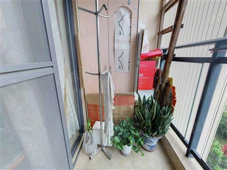 佳兆业新都汇家园（龙岗大道1号）-阳台