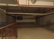 金众云山栖-其他