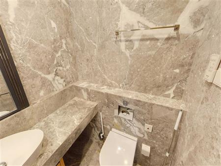 宝能城花园-卫生间