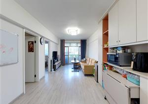 南山蛇口育才二小三中电梯买两层价格才6 XX字头