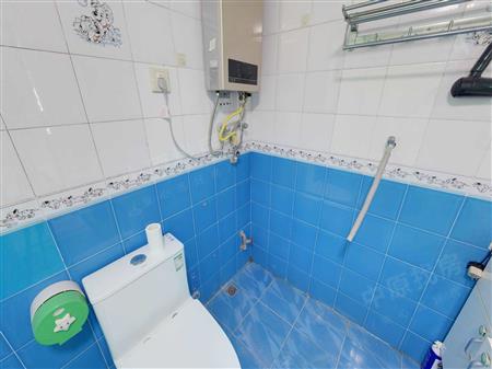 桃源村（二期）-卫生间