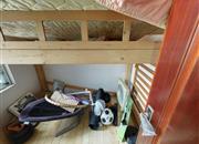 黄埔雅苑（一期翠悠园）-次卧