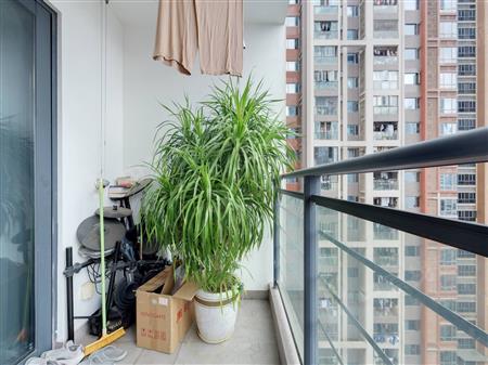 天悦湾花园-阳台