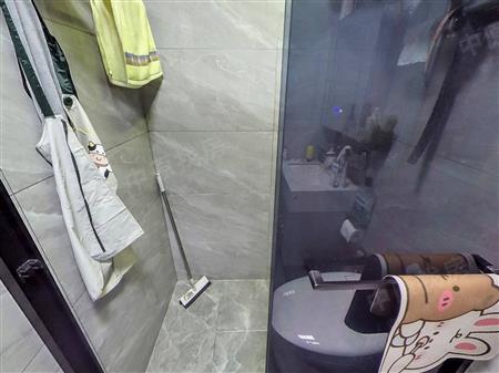 东乐花园(罗湖)-卫生间