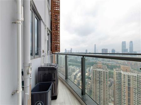 德弘天下华府-阳台