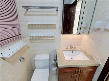 信义金御半山（三期信义荔景御园）-卫生间