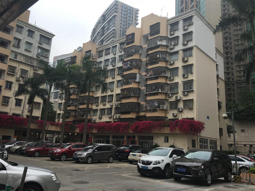 宝龙苑92平实用三房 仅售360万 单价仅3万9