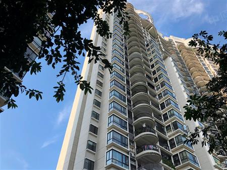 南海玫瑰园三期-环境绿化