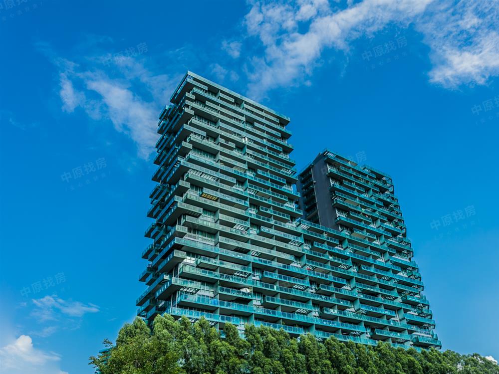 【红树西岸 房源照片本人 亲自拍摄 看房方便】-红树西岸二手房-深圳