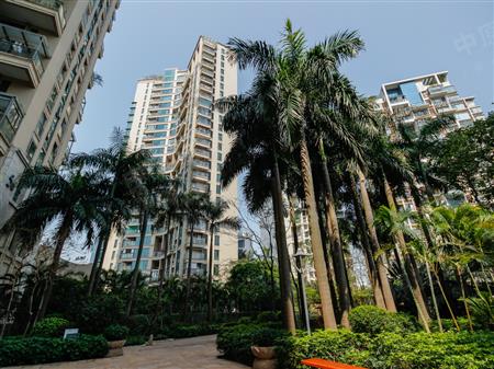 南北通透新装,客厅出阳台看海悦府及深圳湾】-浅水湾花园二手房-深圳