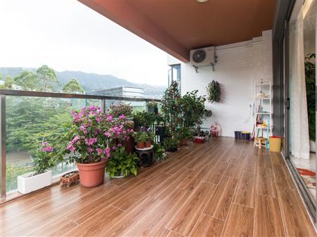 湾区总裁大宅 板式结构 无需名额 精心雕琢 梅沙一号