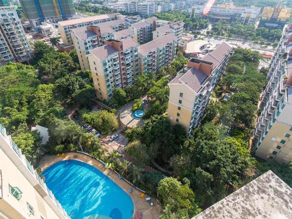 丽沙花都富通丽沙花都